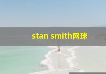 stan smith网球